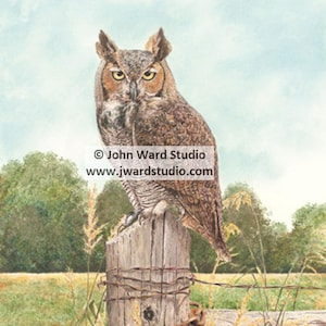 Great Horned Owl Art Print by John L. Ward, Owl Wall Decor, Owl Wall Hanging, Great Horned Owl Picture, Great Horned Owl Lover Gift Present