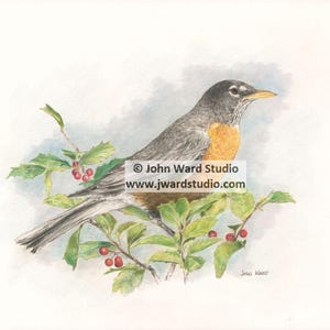 Robin Bird Art Print by John L. Ward, Robin Artwork, Robin Painting, Robin Wall Hanging, Bird Art, Robin in Nature Print, Robin Lover Gift