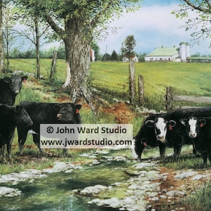 Peaceful Spring Cattle Art Print by John L. Ward, Black Simmental Cattle Picture, Herd of Cattle, Black Cattle, Field of Cattle, Cow Picture