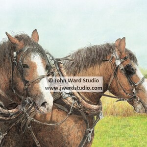 Beau and Jack Working Horses Print by John L. Ward, Horses Plowing Art Print, Draft Horses Wall Hanging, Equine Wall Decor, Horse Gift Art