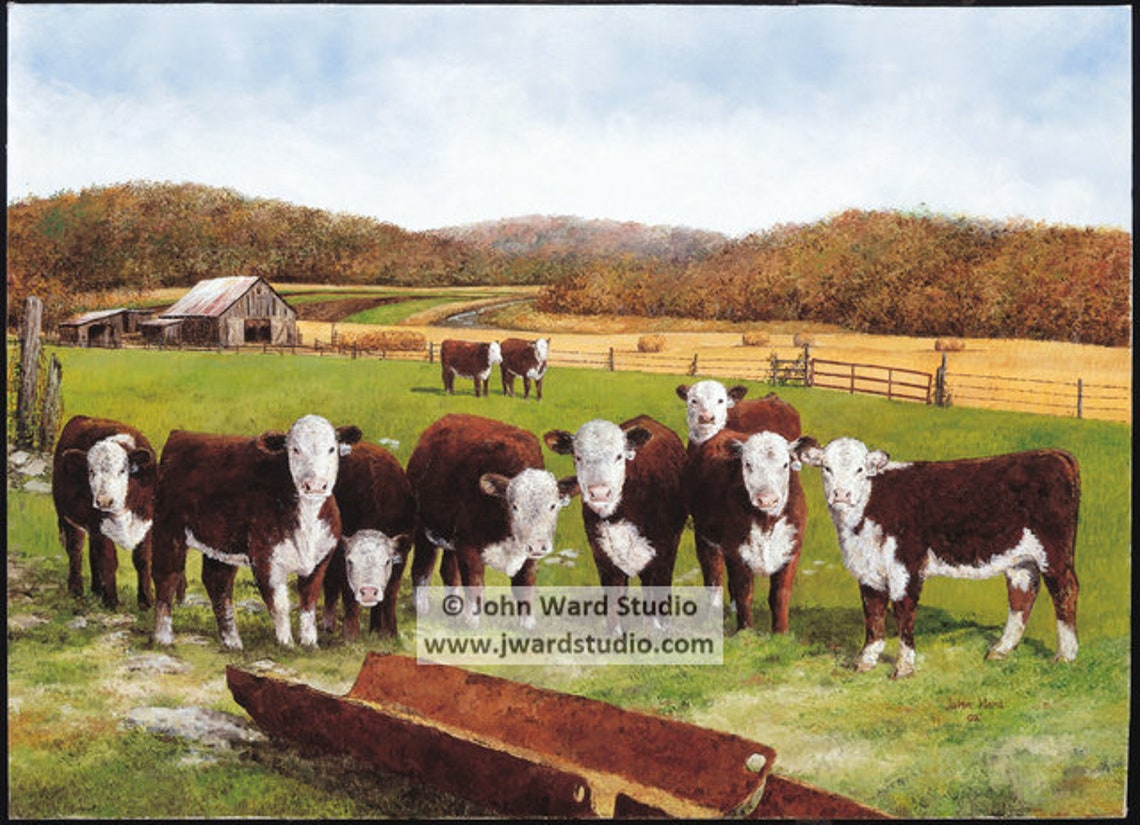 Hereford Autumn Cattle Art Print by John Ward, Hereford Cattle Wall