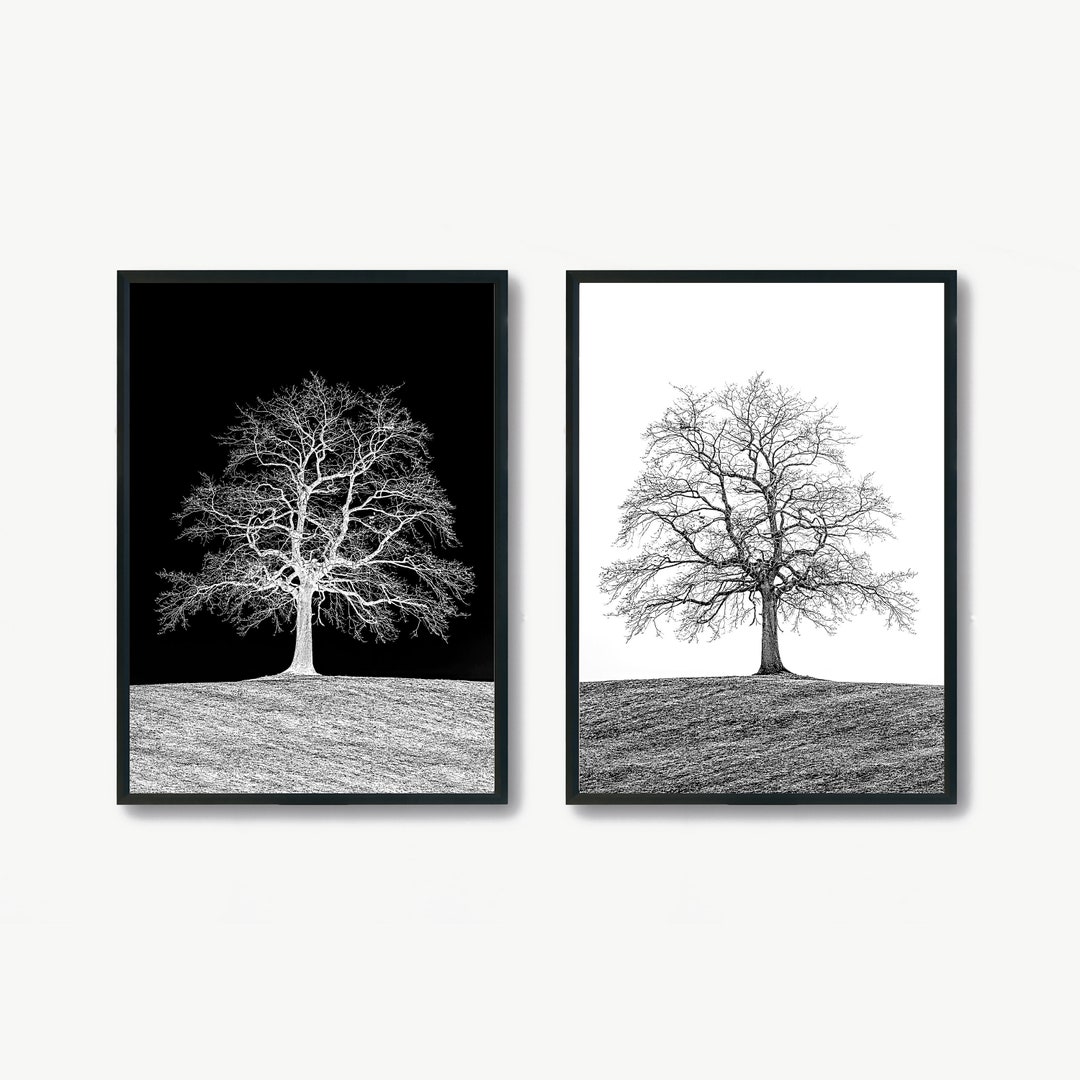 Printable Black and White Tree Wall Art Set Landscape Print Etsy