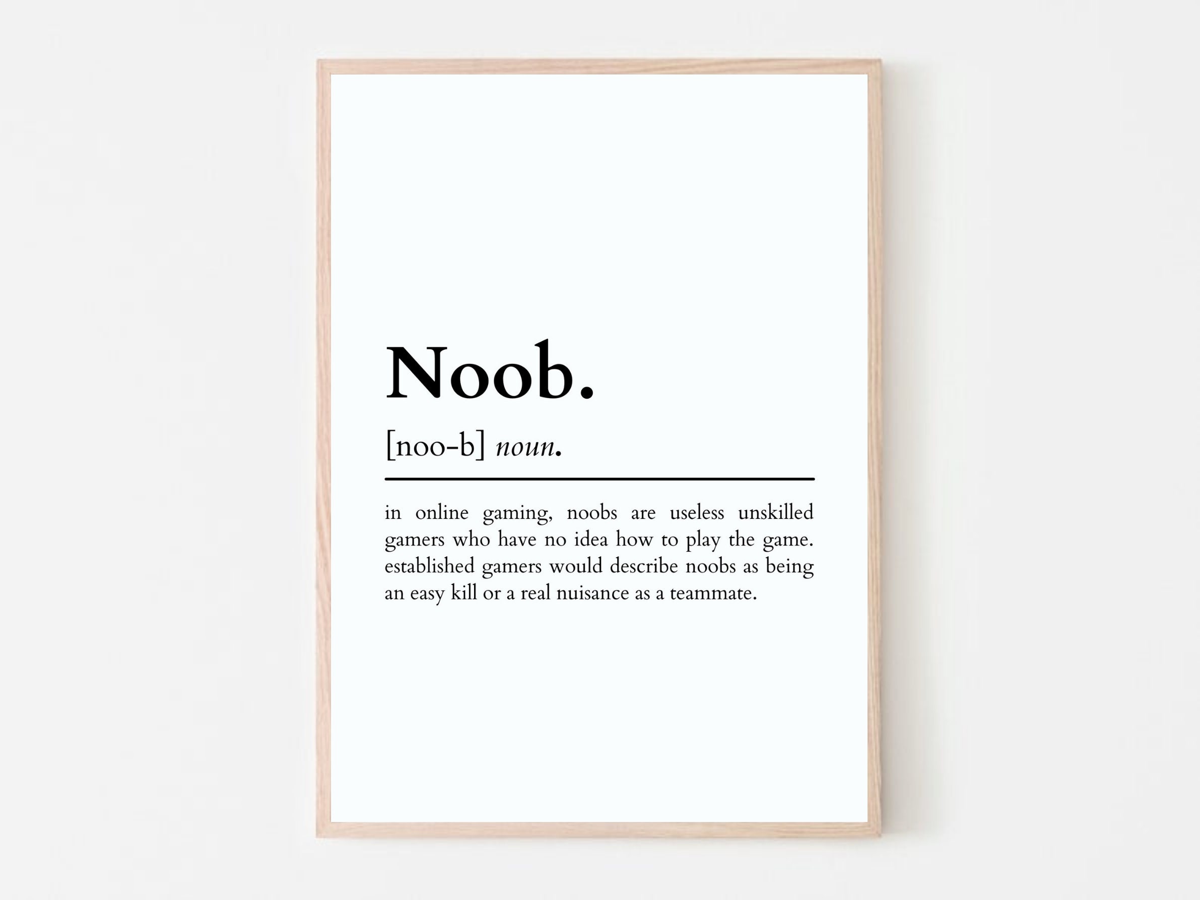 Noob Definition Print Game Room Wall Art Gaming Prints -  Israel