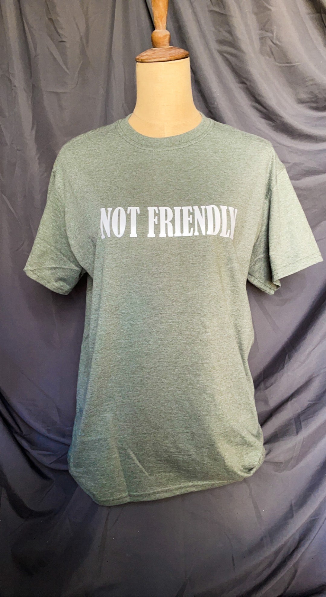 NOT FRIENDLY Unisex Tshirt, Olive Green Tshirt, Gifts for Him, Gifts ...