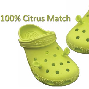 Custom Shrek Crocs Shrek Fan Gift - CrocsBox