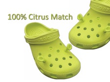 Buy Shrek Ears Crocs Charms Online in India 