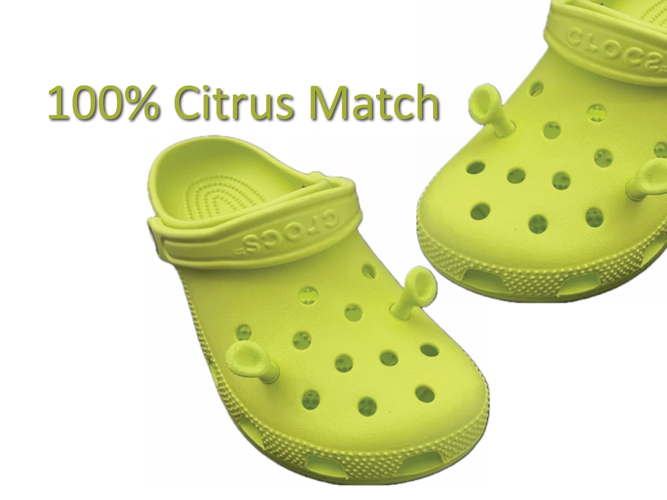 Ogre Ear Shoe Charm/crocs/custom Crocs/shrek/shroks/croc Shoe