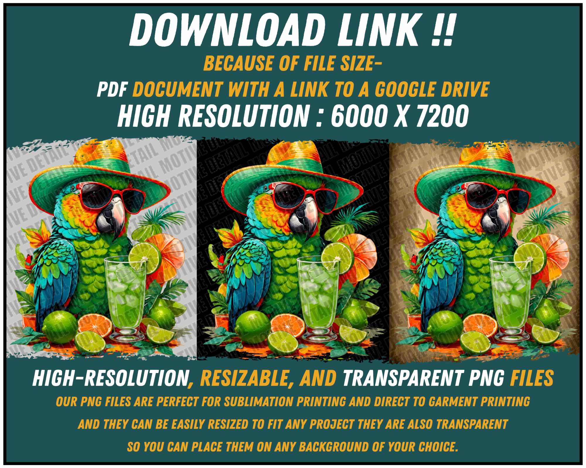 Bundle Parrot PNG, Margaritaville, Margarita PNG, Colorful Parrot ...