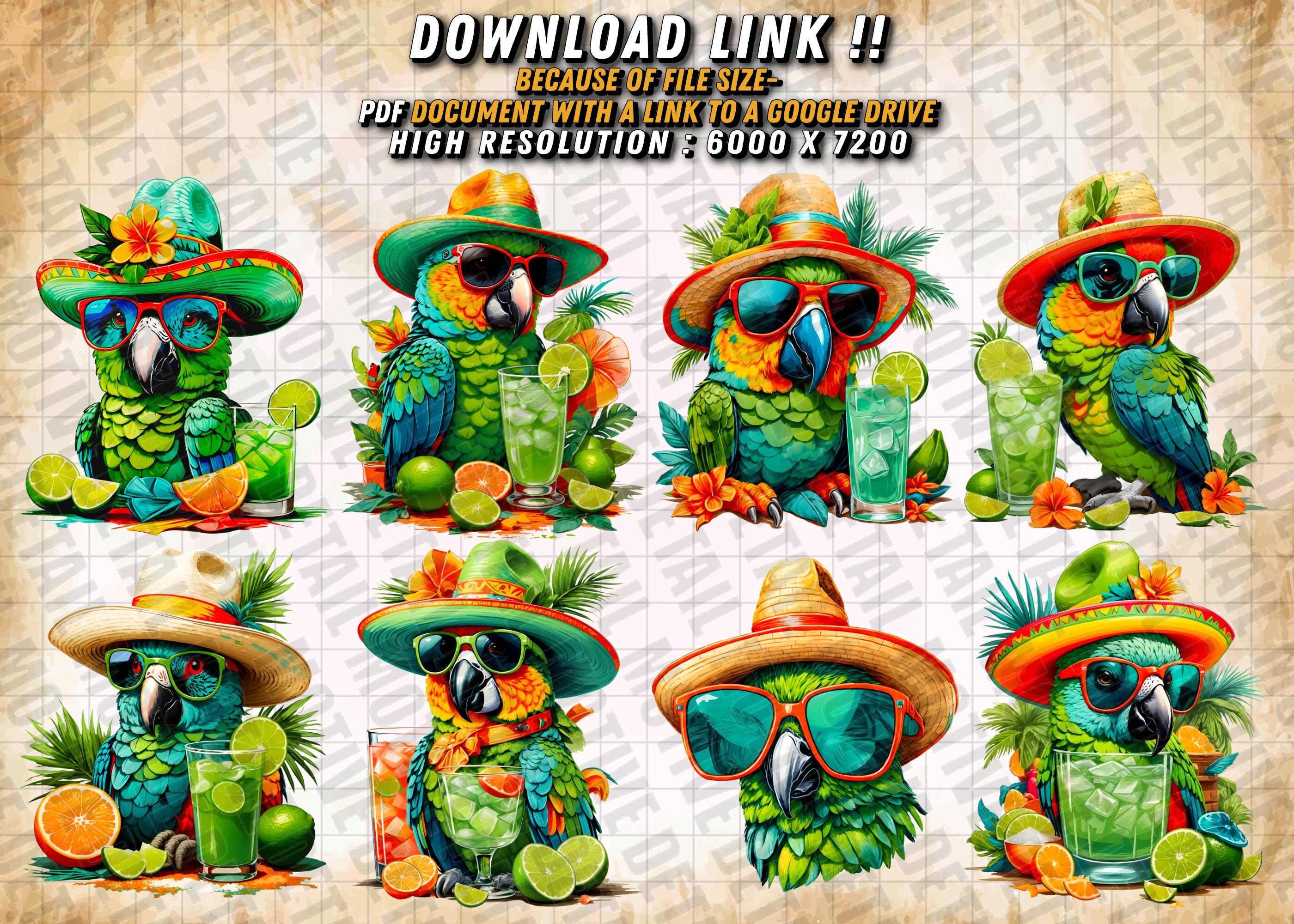 Bundle Parrot PNG, Margaritaville, Margarita PNG, Colorful Parrot ...