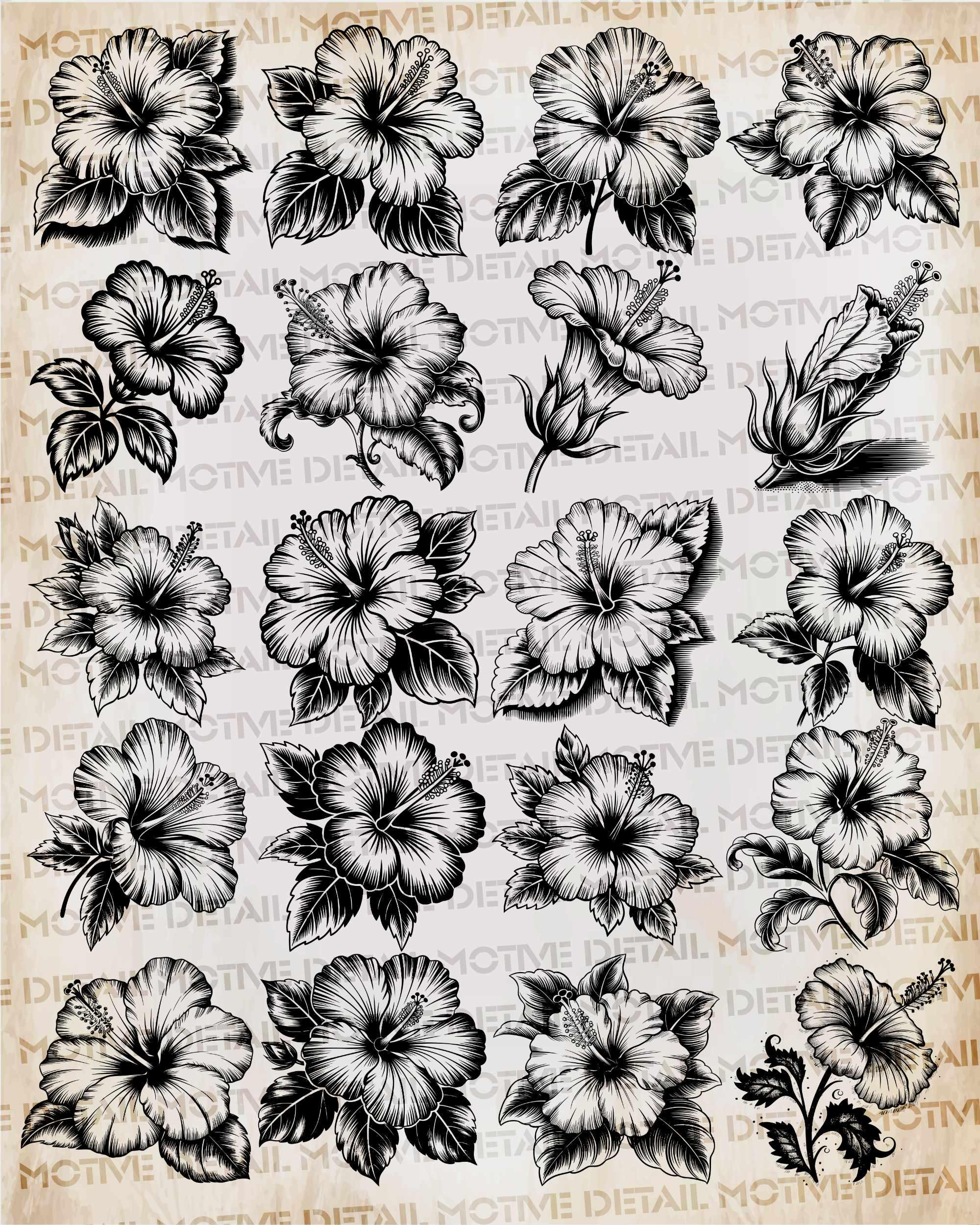 Tropical Hibiscus Flower SVG Bundle, Hawaiian Floral Clipart, PNG Files ...
