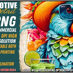 May include: A colourful digital illustration of a parrot wearing sunglasses and a large hat, with tropical flowers and a lime in a glass of green liquid. The text "MOTIVE Detail PNG COMMERCIAL 300 DPI HIGH RESOLUTION SUITABLE BOTH DTG PRINTING AND SUBLIMATION NOT FOR CUTTING FILES!! -COLORS WILL VARY DEPENDING ON MONITOR SETTINGS!" is at the bottom of the image.