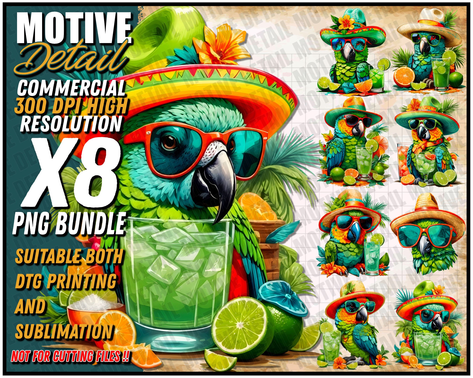 Bundle Parrot PNG, Margaritaville, Margarita PNG, Colorful Parrot ...