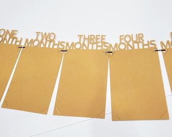 First Birthday Photo Banner – Monthly Milestone Display