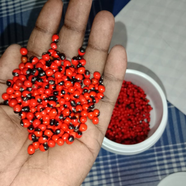 Graines de gunja rouges noires, perles naturelles, fabrication de bijoux, artisanat traditionnel, produit fait main, respectueux de l'environnement, graines de chance rouges à base de plantes, sans trous