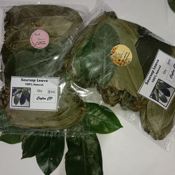 100+ Organic Soursop Leaves/ Graviola/ Annona Muricata/ Dried Guanabana/Guayabano Leaf herb Free shiping