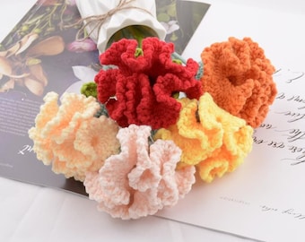 Blumenstrauß gehäkelt | Gehäkelte handgemachte NelkenBlumen Bouquet | Gestrickte Blumensträuße | Muttertag Nelke Geschenk