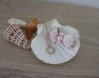Seashell Barrette / Hair clip / Hair Accessory