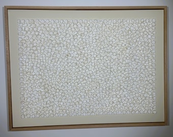 Seashell Wall Art