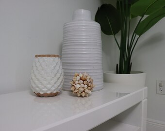 Seashell Ornament / Home Decor