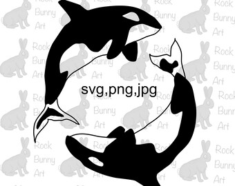 Download Orca Svg Etsy