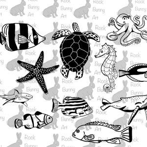 Ocean animal Svg bundle. Turtle Svg, fish Svg, octopus Svg, whale Svg, starfish Svg, shark Svg, seahorse Svg, Svg files for cricut.