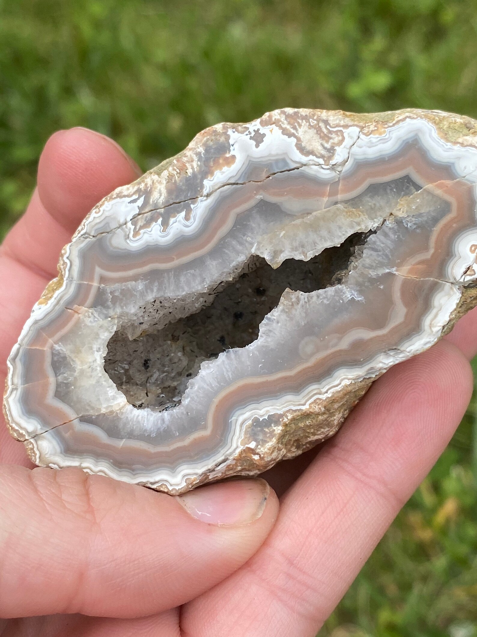 Kentucky Agate polished specimen Etsy