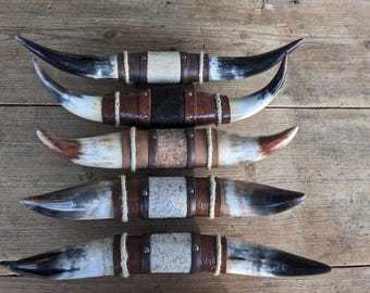 Mini Steer/ Cow Horns