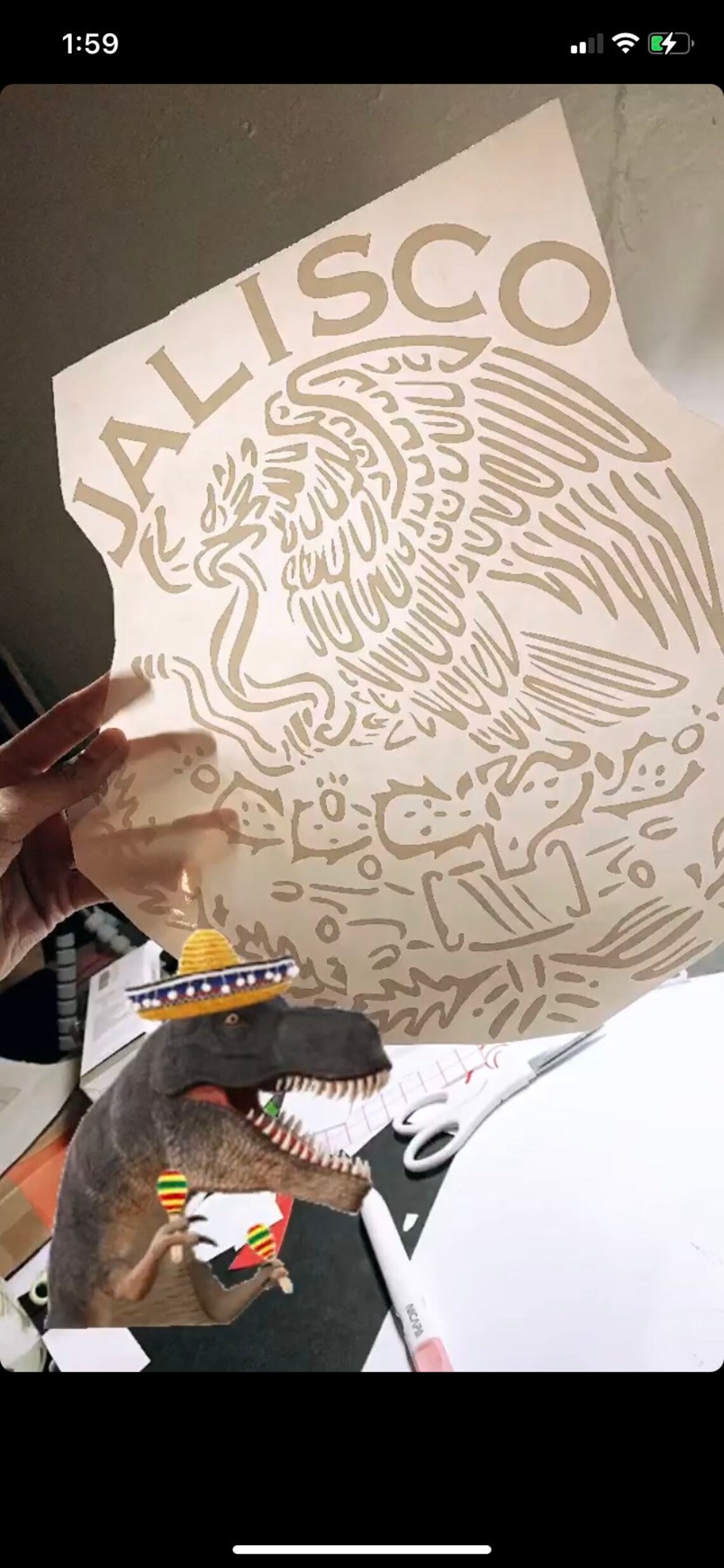 Stencils-by-Joanie 8" Hecho EN Mexico Eagle Stencil Made In Mexican Pride DIY Craft Reusable Signs - Foto 2