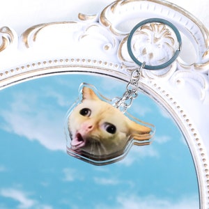 May include: A white and gold ornate oval mirror with a blue sky and clouds reflected in the glass. A keychain with a clear acrylic charm featuring a cat with its tongue sticking out is hanging from the mirror.