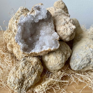 May include: A group of geode crystals with a white quartz interior and a tan exterior. The crystals are arranged on a bed of tan shredded paper.