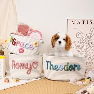 Puede incluir: Tres cestas de cuerda color crema con nombres bordados: "Grace", "Romy" y "Theodore". La cesta "Grace" tiene detalles de flores. Un cachorro Cavalier King Charles Spaniel est&aacute; sentado en la cesta "Theodore". Una impresi&oacute;n de Matisse est&aacute; en el fondo.