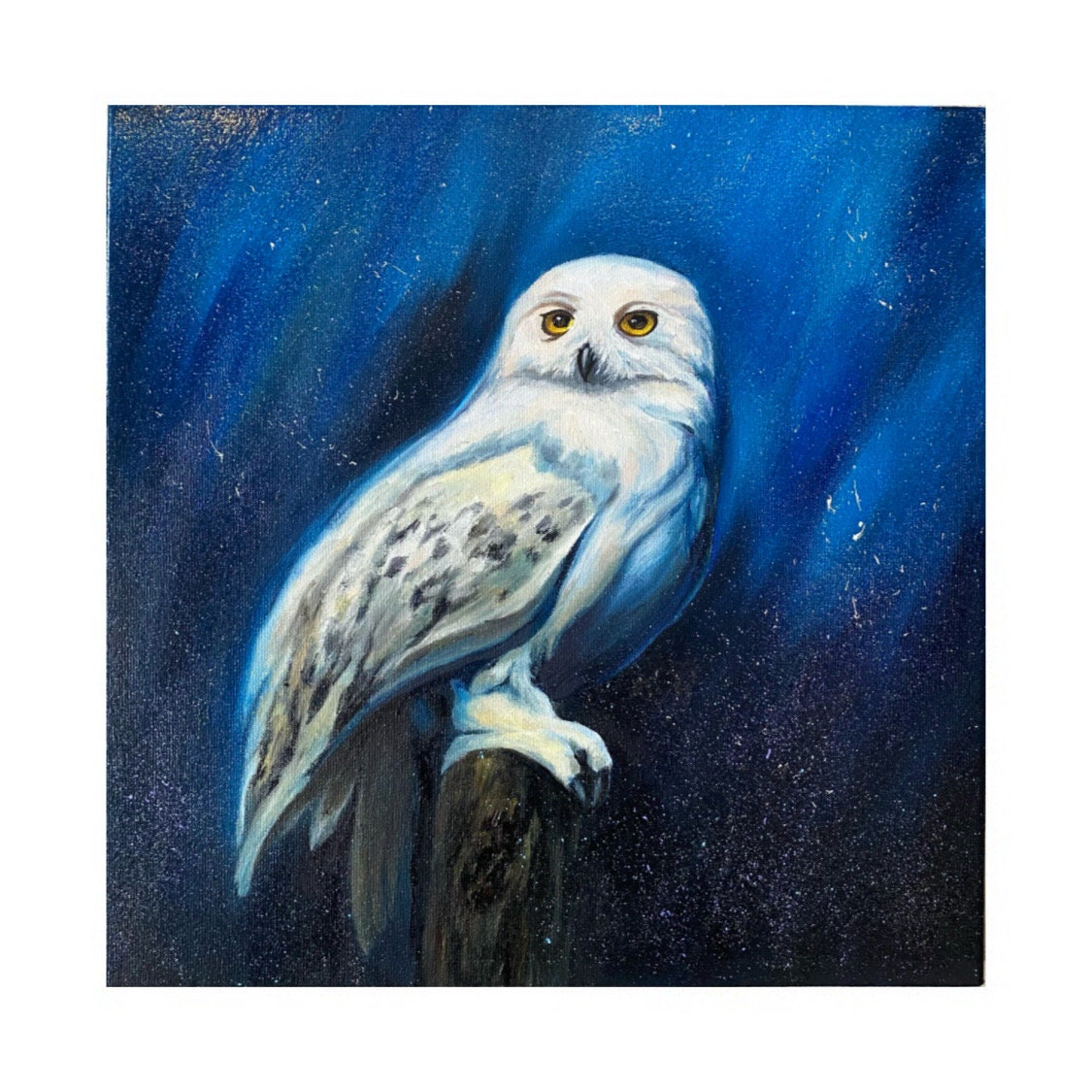 Harry Potter and Hedwig Diamond Painting Kits 20% Off Today