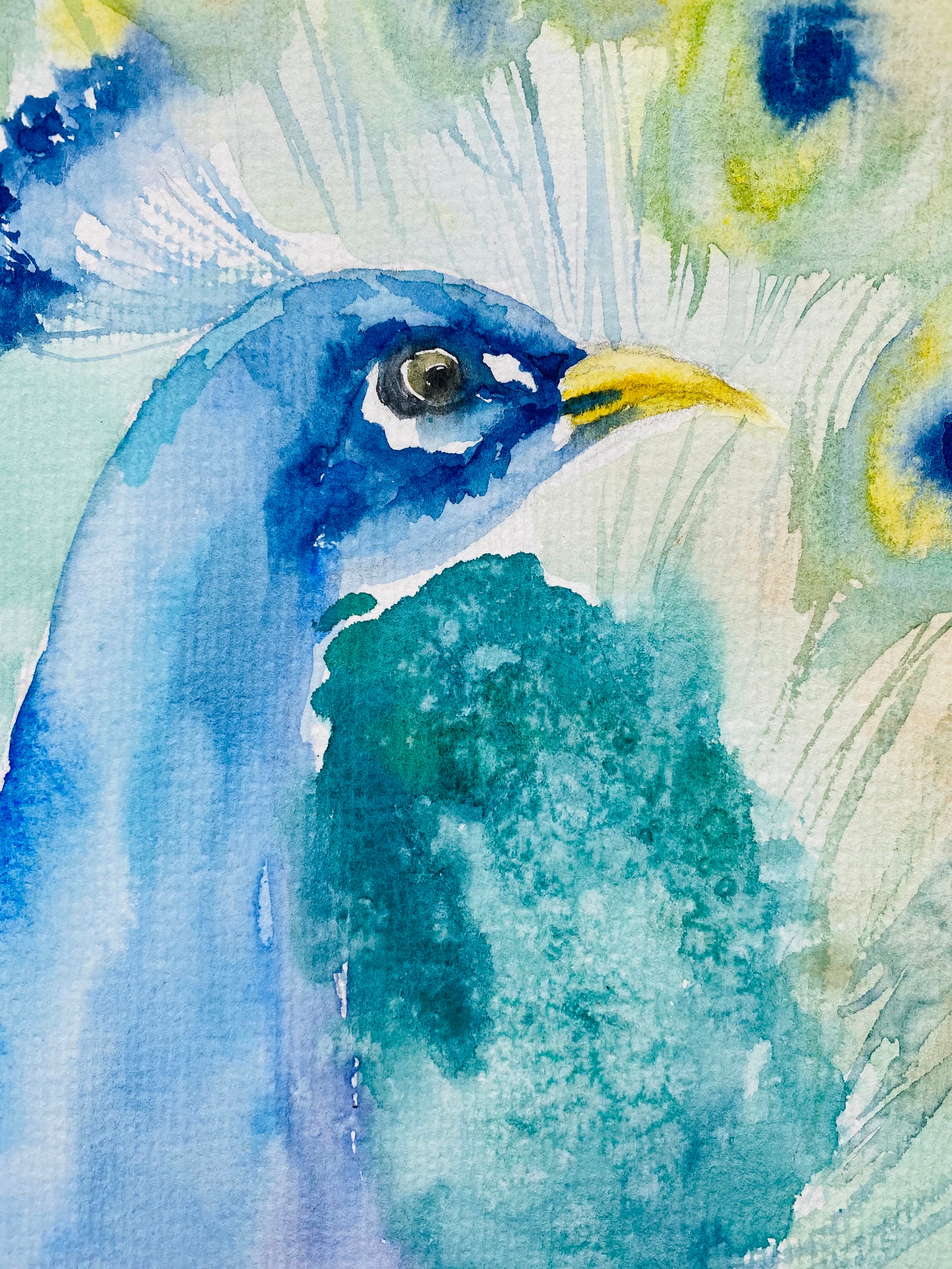 オリジナルの孔雀の水彩画：カラフルな鳥の壁アート（8x6） - Etsy 日本