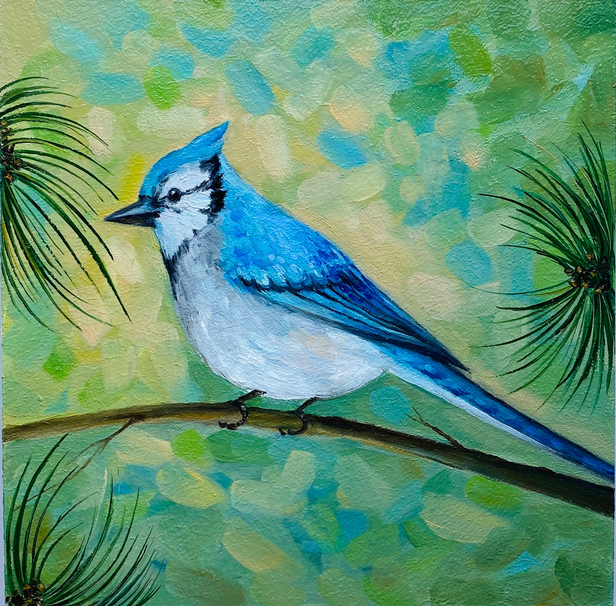Blue Jay Oil Painting: Impasto Bird Art, Original Artwork (8x8) - Etsy