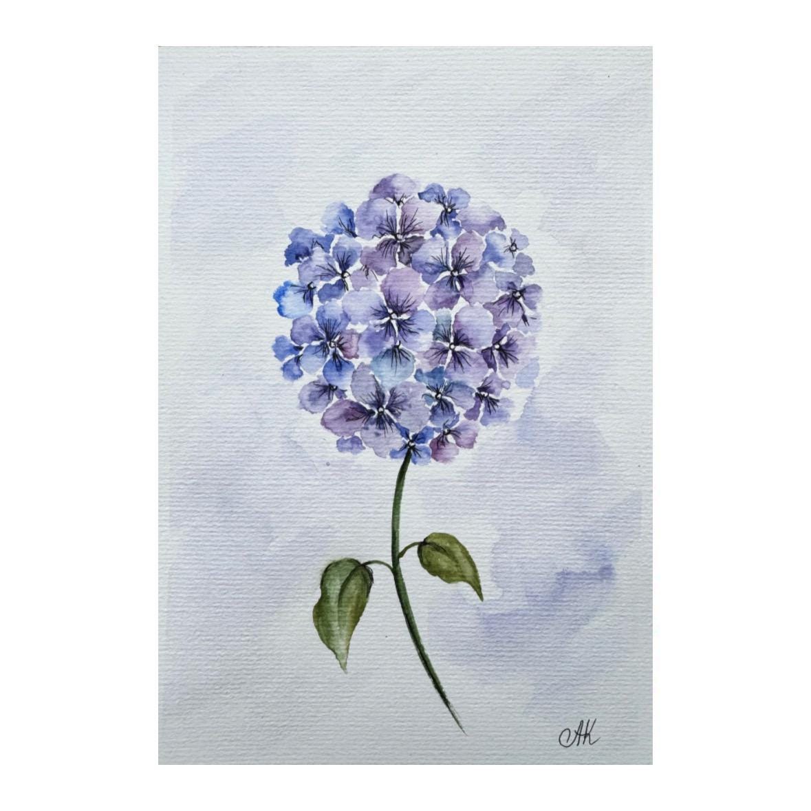 オリジナル水彩画「アジサイ」：紫色の花のボタニックアート（8x6