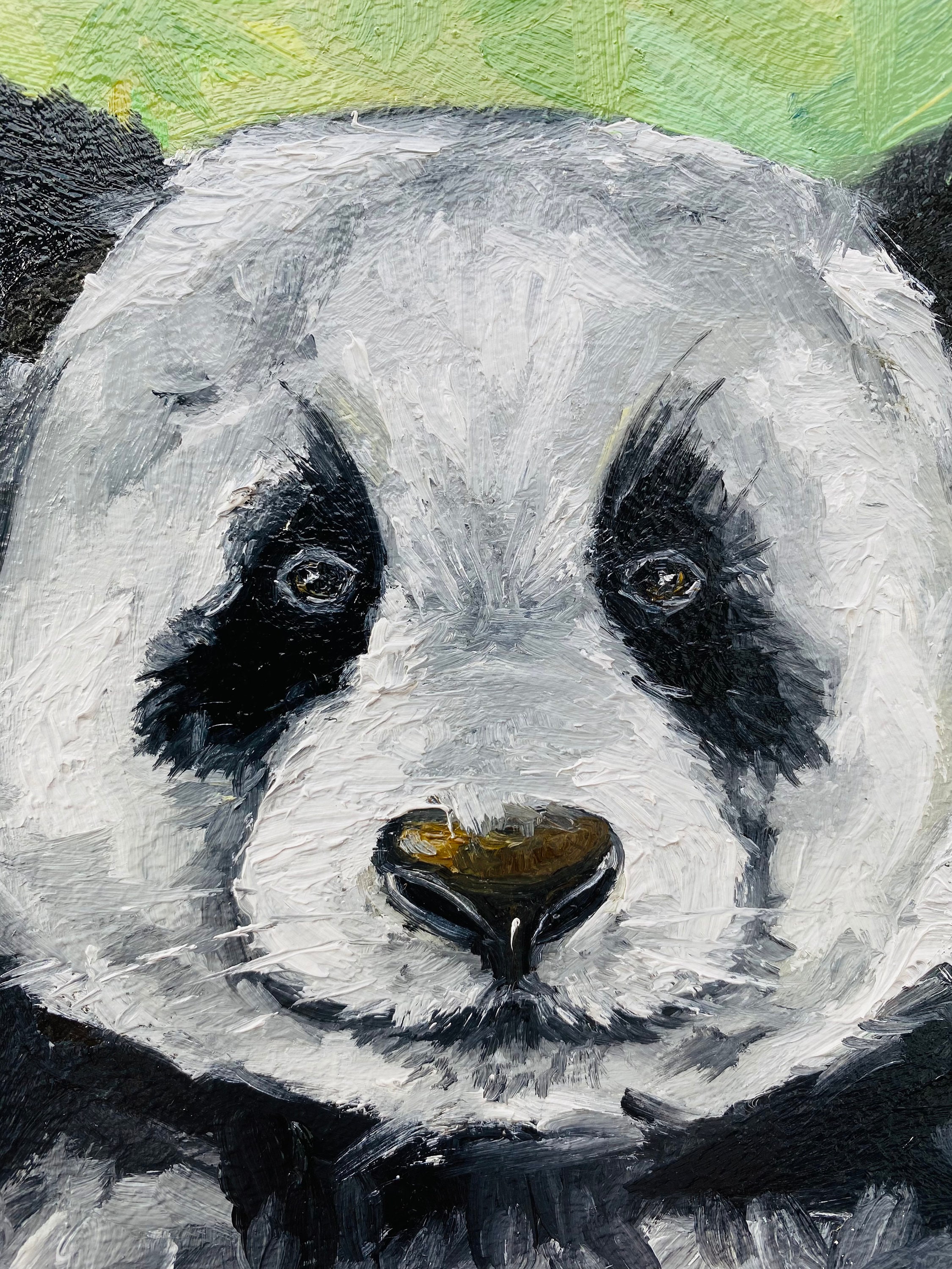 パンダの油絵：インパストクマの肖像、オリジナル動物アート（6x6