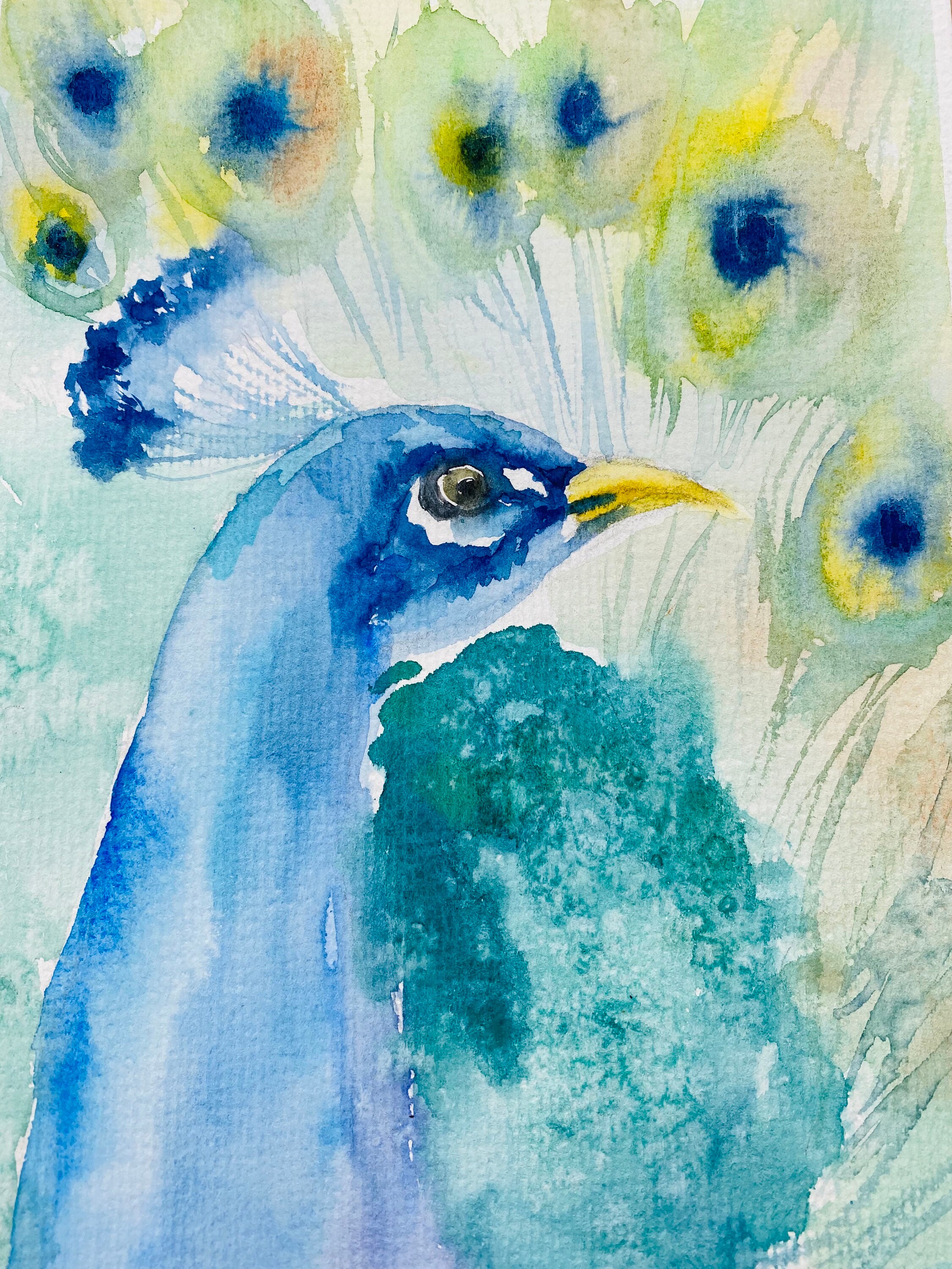 オリジナルの孔雀の水彩画：カラフルな鳥の壁アート（8x6） - Etsy 日本