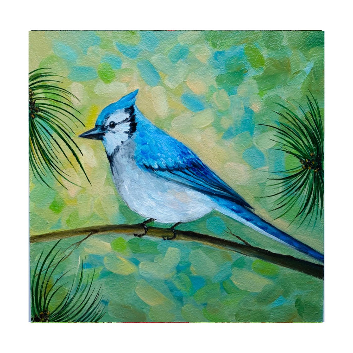 Blue Jay Oil Painting: Impasto Bird Art, Original Artwork (8x8) - Etsy