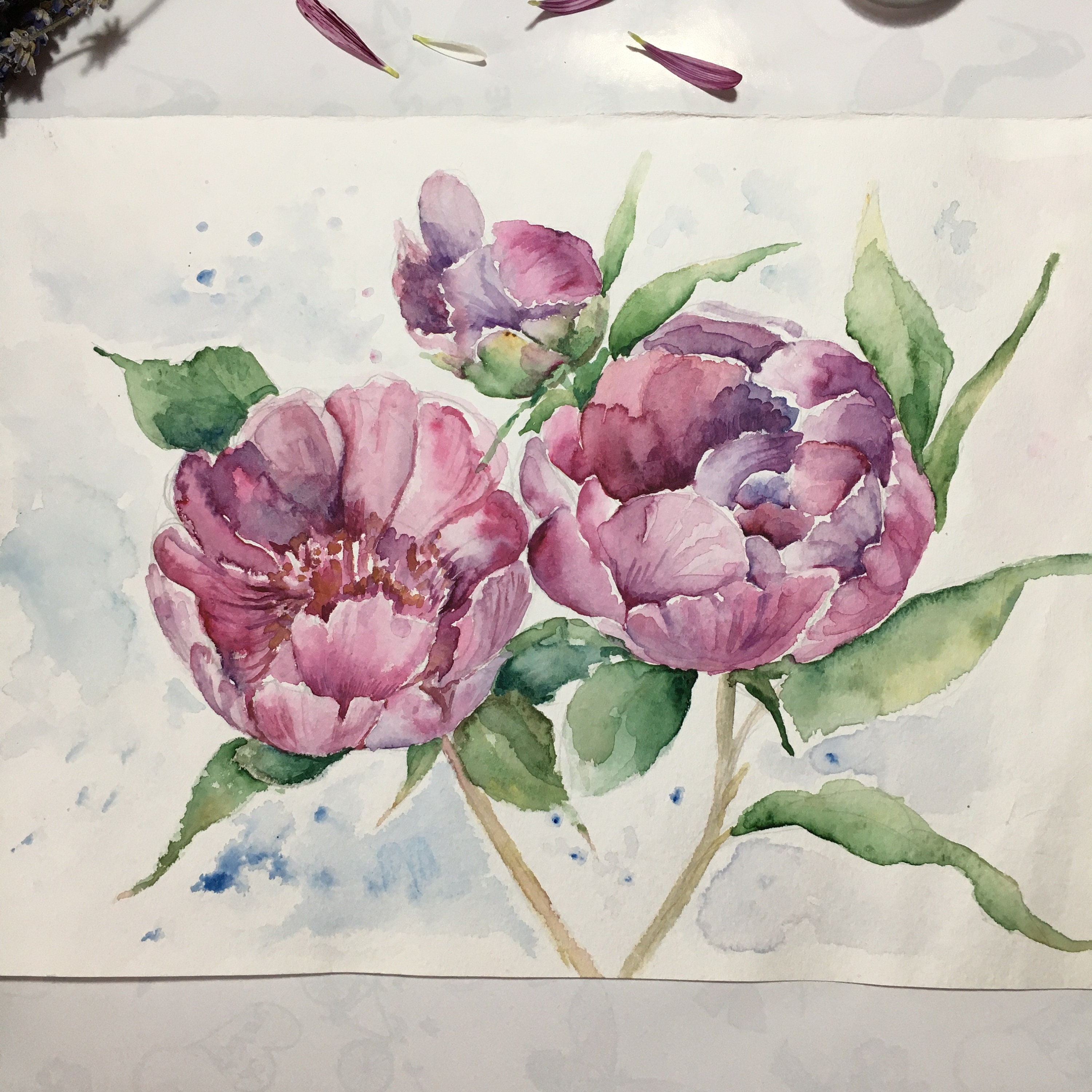 水彩画　花 il_1080xN.4930219040_5zq5.jpg