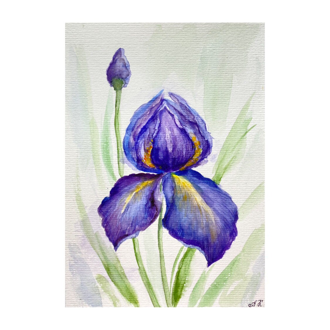 アイリスオリジナル水彩画 紫のアイリス ウォールアート 花の