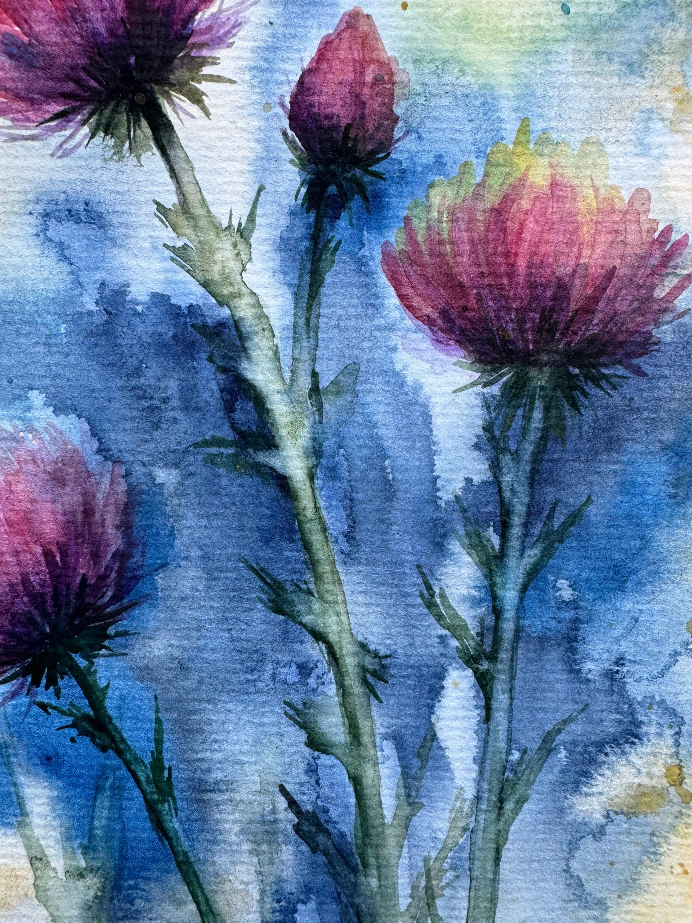 スコットランドのアザミのオリジナル水彩画：8x6の花の壁アート - Etsy