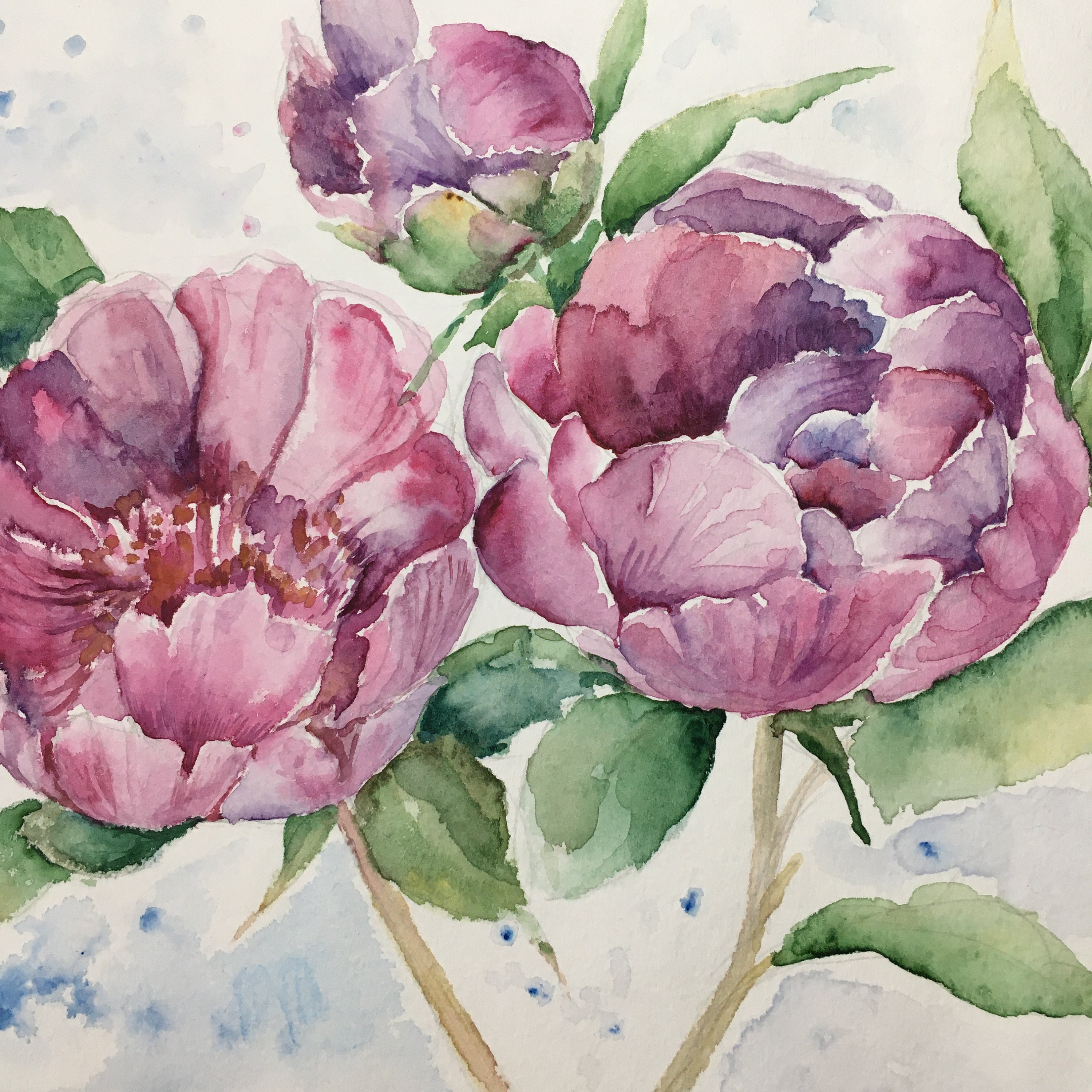 真作】絵画 日本画の美 華麗なる牡丹図 気品あふれる牡丹の彩り