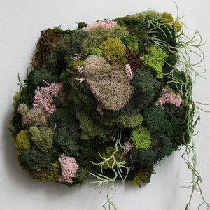 Décoration murale originale en mousse préservée : collection Garden, 20 cm (8 po.)