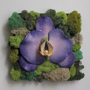 GARDEN COLLECTION 6 | Original Clay Orchid Moss Wall Art | Preserved Moss Art | Moss Wall Decor | 8” x 8” Square