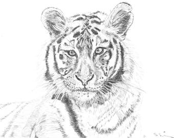 Tiger Pencil Drawing • Wildlife Big Cat Art Print • Digital Download by S.V. Silcock