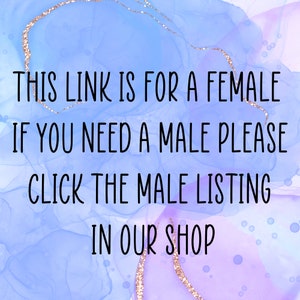 Op de afbeelding: Tekst op een blauwe en paarse achtergrond met gouden glitter. De tekst luidt: "THIS LINK IS FOR A FEMALE IF YOU NEED A MALE PLEASE CLICK THE MALE LISTING IN OUR SHOP"