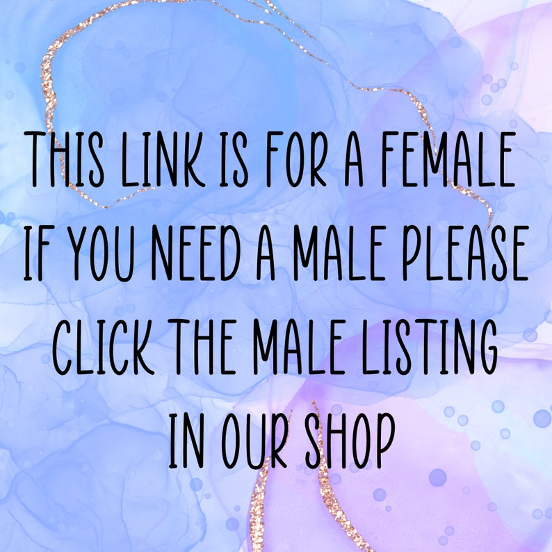 Op de afbeelding: Tekst op een blauwe en paarse achtergrond met gouden glitter. De tekst luidt: "THIS LINK IS FOR A FEMALE IF YOU NEED A MALE PLEASE CLICK THE MALE LISTING IN OUR SHOP"