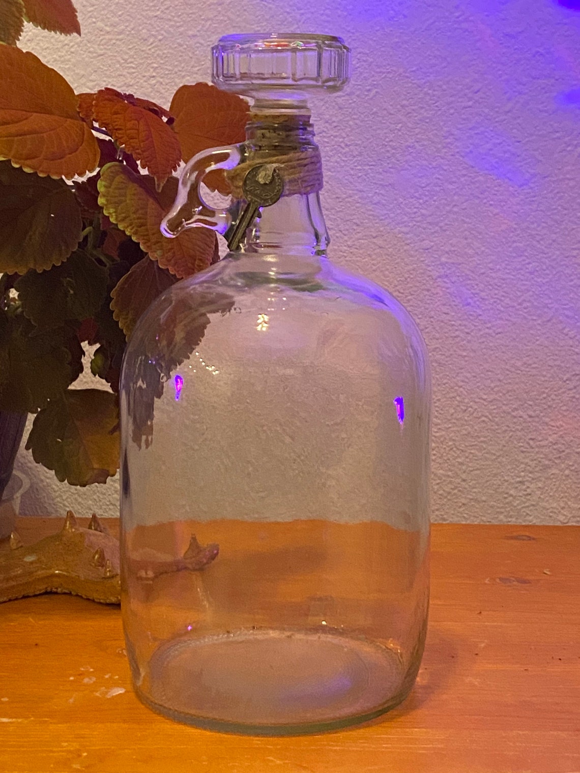 Glass Gallon Jug Etsy