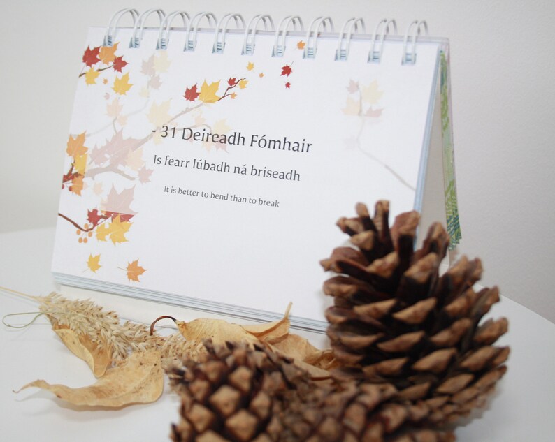 Féilire Deisce as Gaeilge / Desk Calendar in Irish Etsy