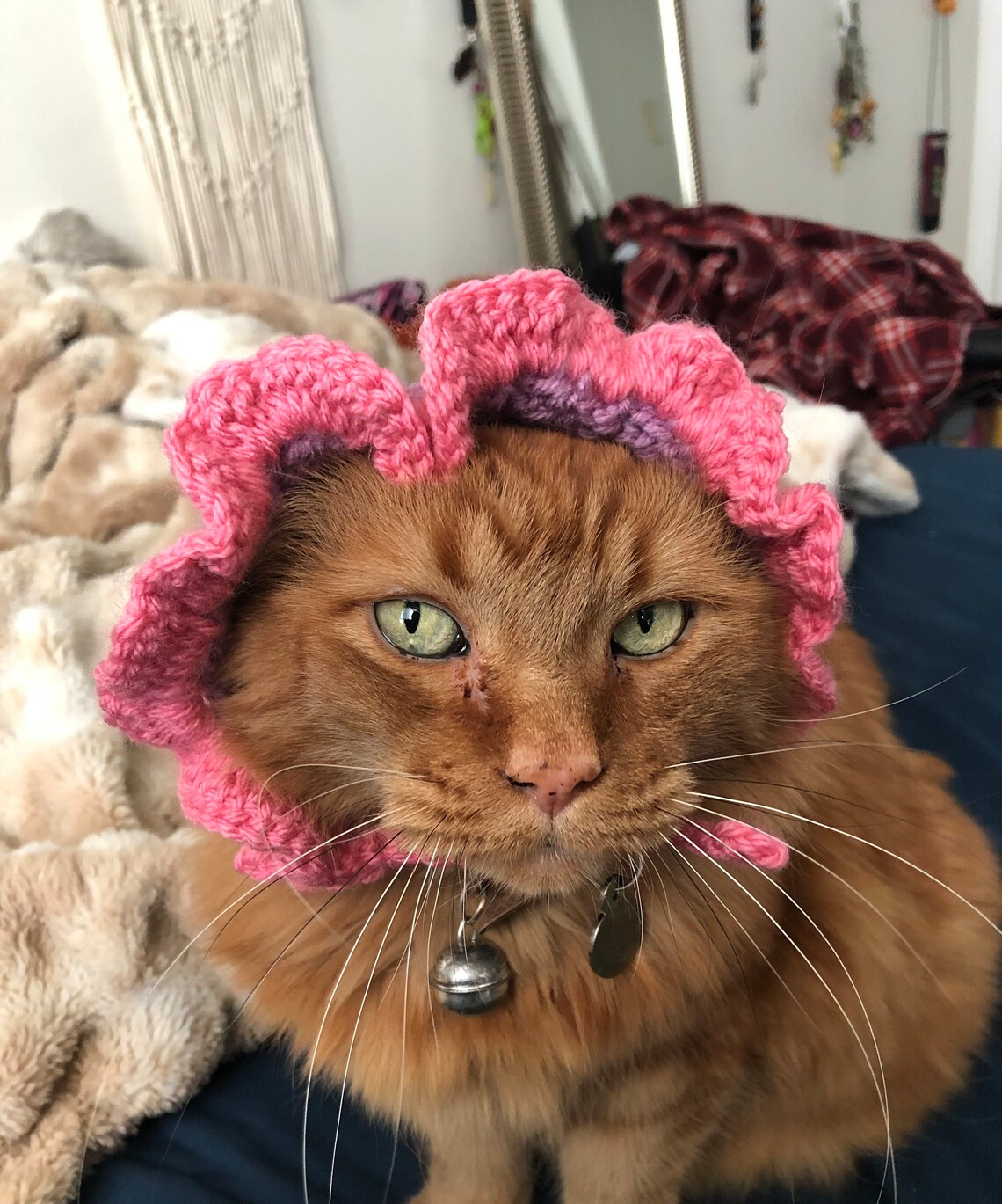 Cute Handmade Crochet Style Hats for Cats and Small Dogs Etsy